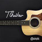 Steinberg Tguitar